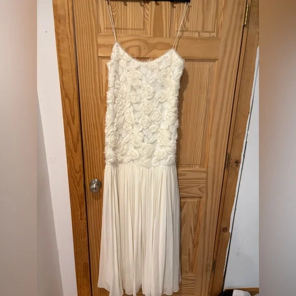 Unworn Alexis Natalina Dress ivory drop waist floral maxi dress size XL - Picture 7 of 8